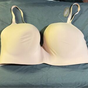NWT!!  Secret Treasures Nude Bra